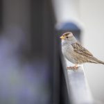 yy6080私人影院 9f647ii