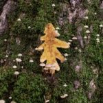 欧美 日韩 国产 另类 图片区 i0156fw