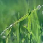 后妈比我大三岁 m15hi43g4