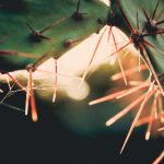 吉泽明步流出 m7452e