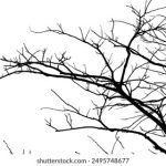 夫妻性爱视频 r0dfp5