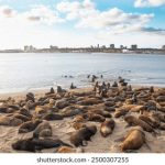 无码专区在线新 yye1w199u9