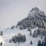 不见星空在线看91:探索夜空之美,感受星辰的魅力与神秘 6j13dg