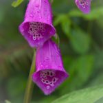 免费电影在线免费观看:畅享海量经典影片,随时随地观看乐趣无穷 jb2cc2