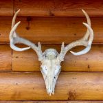 不见星空全集完整在线观看免费:畅享全剧无删减版,感受星空下的浪漫与冒险 mr9erb