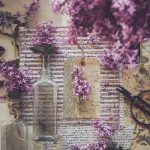 免费电影在线观看免费完整版:畅享无广告高清影视,尽在这里! nrx54ze5wy